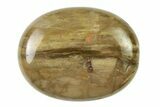 1.8" Petrified Wood Pocket Stones  - Photo 2